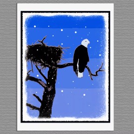 6 Christmas Cards Bald Eagle Winter Graphics Snow Art Note Greeting