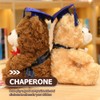 Alipis Graduation Bear Plush Stuffed Animal Toys, Plush Teddy Bear