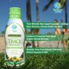 Tropical Oasis - Premium Ionized Plant Based Trace Minerals Liquid