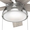 Hunter Fan Company 44 inch Lilliput with LED Light Brushed