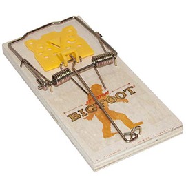 JT Eaton 403-12 Bigfoot Rat Size Snap Trap with Expanded Trigger, Strong and Durable Wooden Trap, Bulk Pack of 12