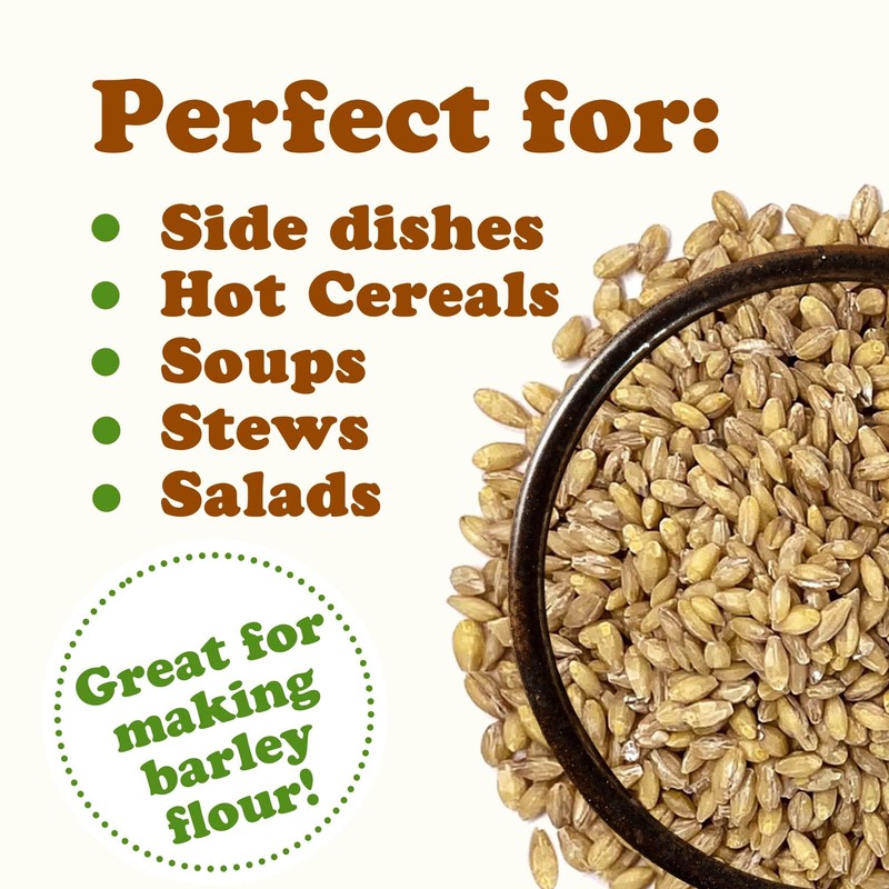 Food to Live Organic Hulled Barley, 15 Pounds – Non-GMO,