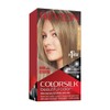 Revlon Professional Colorsilk Ink 60 Rub Ceniz 1 Item (Pack