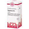 DHU Phytolacca D12 Tablets, Pack of 80 Tablets