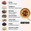 Café soluble con 7 hongos adaptógenos Reishi, Melena de León,