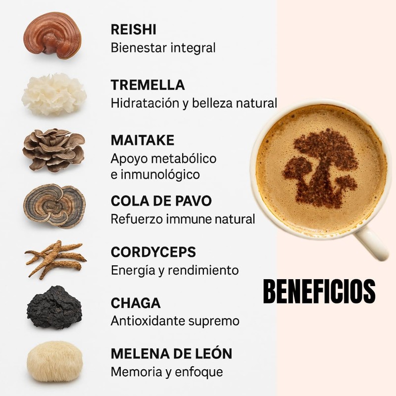 Café soluble con 7 hongos adaptógenos Reishi, Melena de León,