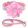 PET ARTIST Rhinestone Dog Collar and Leash Set, Sparkling Girl