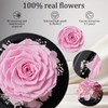 WEILEHAPPY Flowers for Delivery - Forever Flowers Rose in Glass