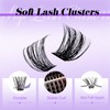 WENDY DIY D Curl Lash Clusters Individual Cluster Lashes Kit