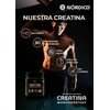 Nórdico® - Creatina Monohidratada, Alta Pureza, Sin Sabor, 100% natural,