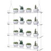 ZerzSemp 4-Tier Floating Acrylic Plant Shelf – Each Tier 16