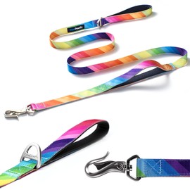 PawPawify Heavy Duty Long Nylon Dog Leash with Two Padded Handles - Automatic Lock Collar Clasp and Comfortable Traffic Control Handle - Patterned Pet Lead for Small, Medium, and Large Breeds