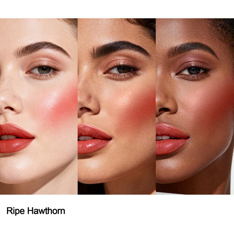 Monochromatic Rubor En Barra/labial Ojos, Mejillas Y Labios