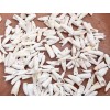100PC Alligator Teeth for Making Gator Teeth Necklace Real Alligator