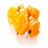 25 Semillas De Chile Habanero Amarillo Cultivo Huerto                                                                                                 