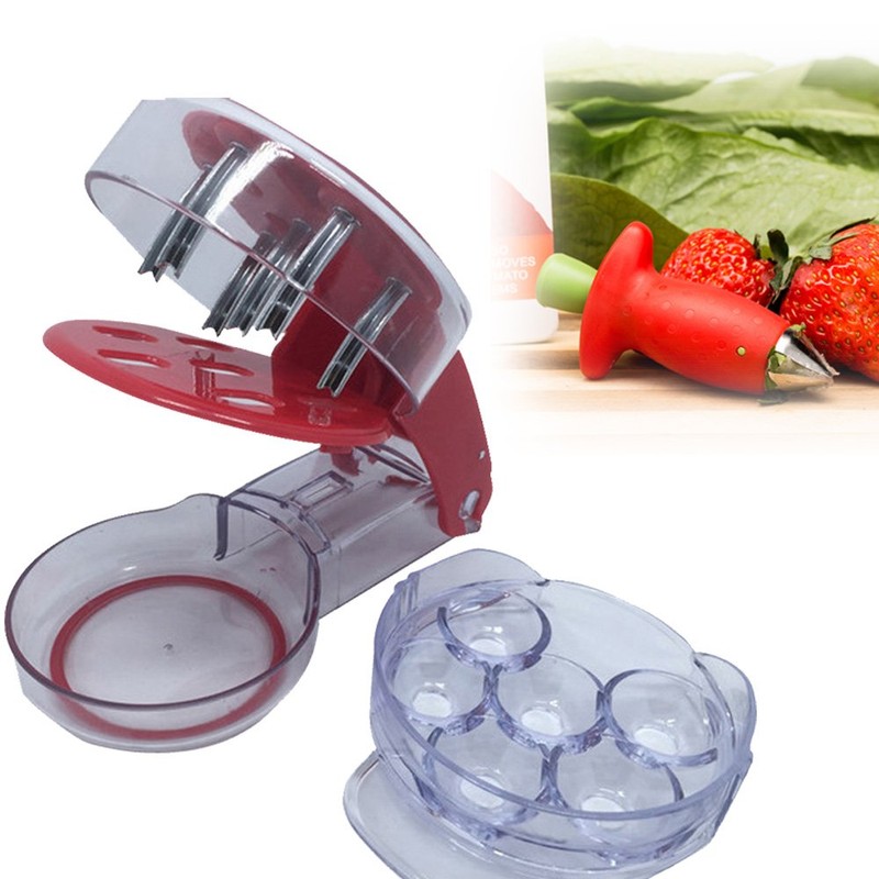 Condello Casa Multi Cherry Pitter Machine Mason Jar for 6