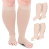 Compression Socks, Flight Socks for Women and Men. (2 Pairs)