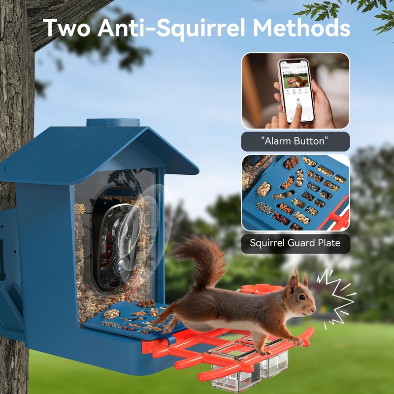 Rayki Solar Bird Feeder with Camera for Birdwatching, 2K HD