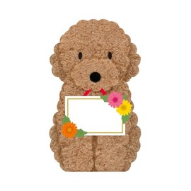 Sanrio MU35-8R L111 4173657 Multipurpose Toy Poodle Plate