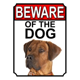 SHAWPRINT BEWARE OF THE DOG METAL GATE SIGN RHODESIAN RIDGEBACK 200MM X 150MM (1144H1)