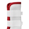 LEAFOREST Horse Fly Boots - Fly Boots Perfect for Horse