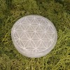 Flower of Life Charging Selenite Plate | MoonlightCryst