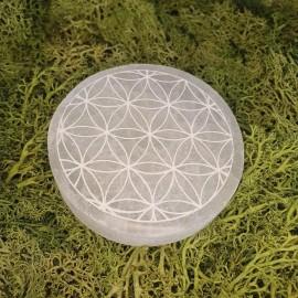Flower of Life Charging Selenite Plate | MoonlightCryst