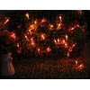 Dreamworth Solar Red Chili String Lights, 50 LED Chili Shape