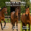 Freestep Muscle Mate – Horse Muscle Builder with Rice Bran