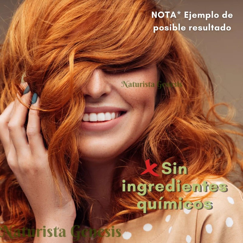 El oasis Tinte Natural Henna En Polvo El Oasis 250g