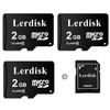 Lerdisk Factory Wholesale Tarjeta Micro SD de 2 GB, paquete