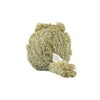 Fancy Pets Juguete para Perros de Peluche Ardilla Barrigón Buddies