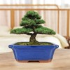 MUZHI 3 Pack Ceramic Rectangular Bonsai Tree Planter Pot Set