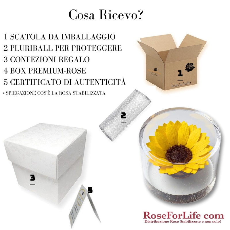 Premium-rose.com Eternal Stabilised Sunflower Round with Sunflower Unique and Refined