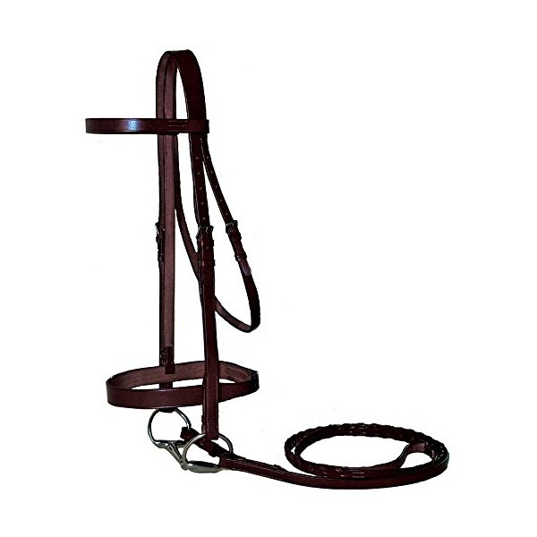Paris Tack Classic Flat Leather English Hunt Bridle with Laced Reins, and Sizes