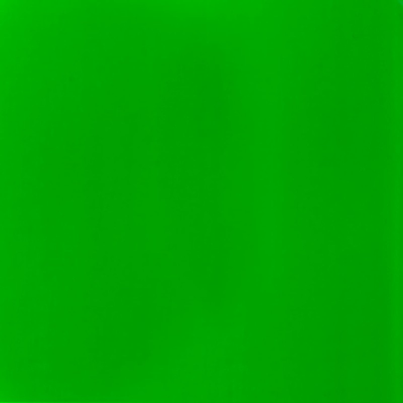 LIQUITEX Acrylic Paint Basics B-095, Fluorescent Green, 4.0 fl oz