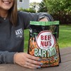BEER NUTS Bar Mix w/Wasabi - Pretzels, Cheese Stix, Sesame