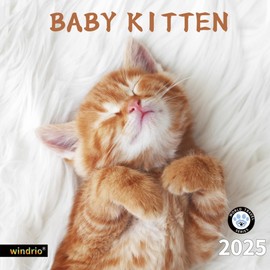 2025 Wall Calendar,Calendar 2025, November 2024 - December 2025, Wall Calendar Baby Kitten, 12" x 24" Opened,Full Page Months Thick & Sturdy Paper for Calendar Organizing & Planning