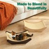 Zakkart Cat Sisal Scratching Bed Hammock, 2-in-1 Cat Scratcher &