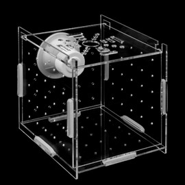 Acrylic Fish Breeding Box, Transparent Fish Isolation Box, Fish Separator Box for Aquarium Breeding Incubator with Suction Cup for Shrimp, Guppy, Clown Fish, Small Fish (10 x 10 x 10cm)