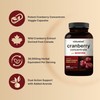 NatureBell Cranberry Pills with Acerola, 240 Veggie Capsules | Fresh