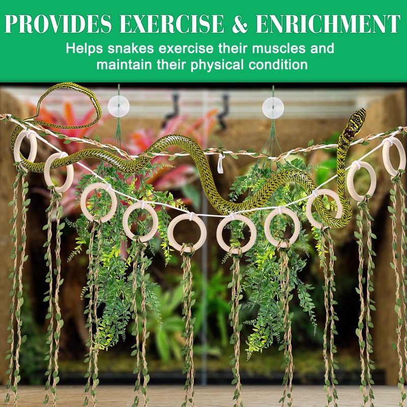 Coldairsoap Snake Climbing Vines with Reptile Plants Kit, Handcrafted Jungle