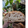 GREAT GRANDMA'S SOUR BAGELS Sourdough Starter Heritage San Francisco -