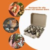 Homvik Paper Pulp Egg Cartons, 20 Pack Reusable Dozen Farm