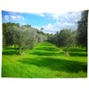 CORFOTO 5x3ft Fabric Olive Trees Backdrop Olive Trees Spring Landscape