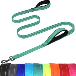 VIVAGLORY Twingrip Dog Leash, Double Handle Dog Leash for Training & Walking with Traffic Handle & 2 Loop, Traffic Control Reflective Heavy Duty for Puppy Pet, 6ft x 1in, Turquoise