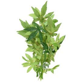 Exo Terra Silk Terrarium Plant, Small, Abutilon