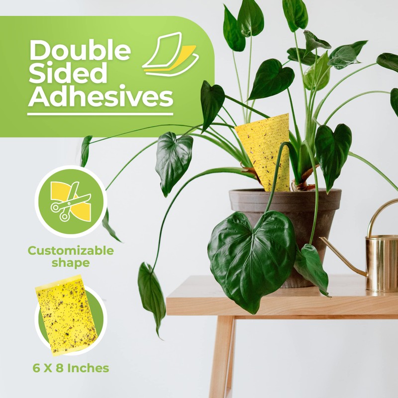 Fruit Fly Trap (20 Pack), Double-Sided Yellow Sticky Traps (Indoor