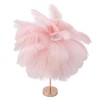 Decorative Table Lamp 30PCS Feathers USB Rechargeable Light Touch Control