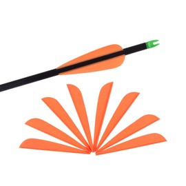 3 Inch Arrow Feather Plastic Fletching Vanes for DIY Archery Hunting Targeting Accessories (Pack of 50)